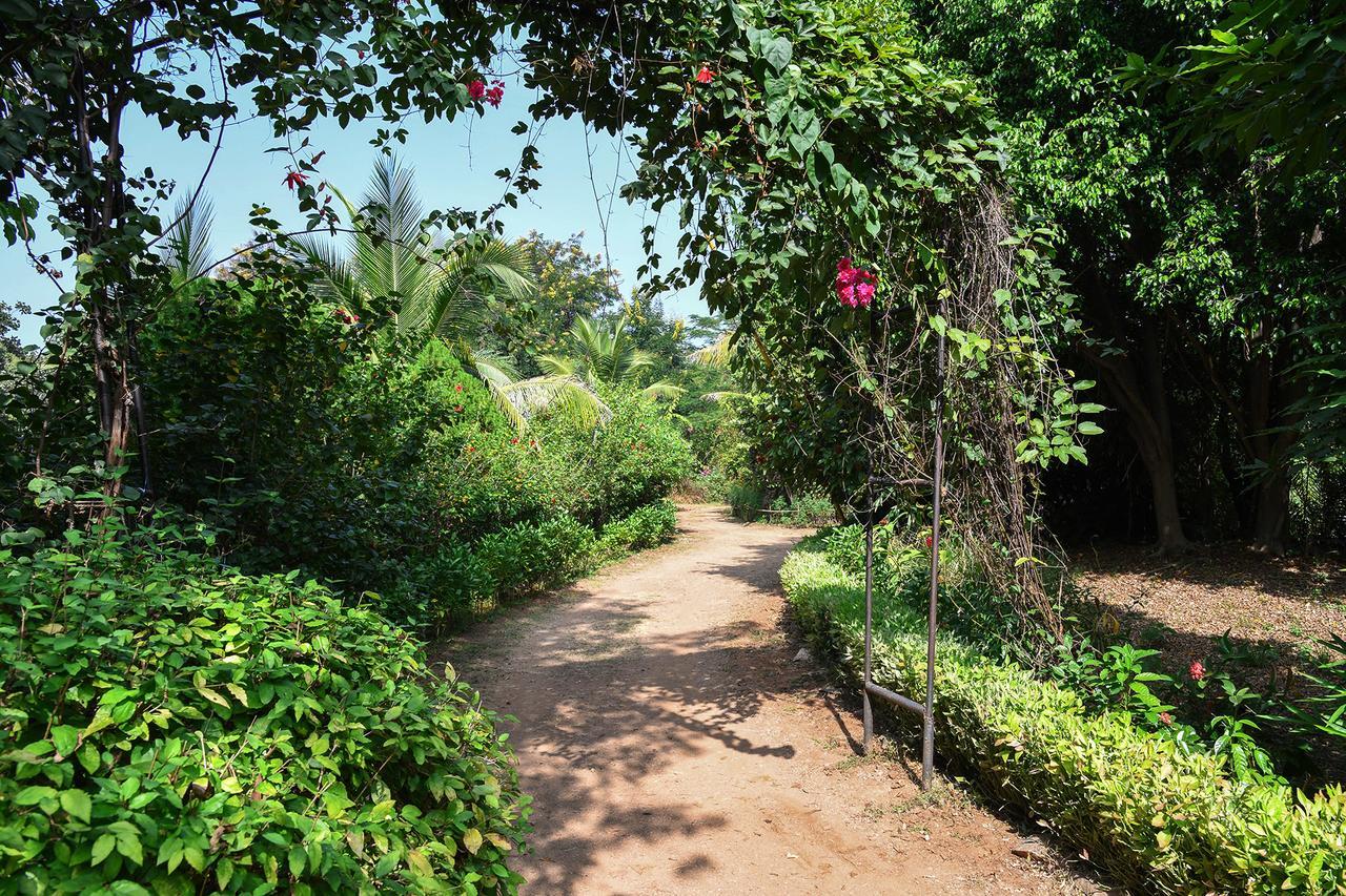 Baaz Jungle Resort Khawāsa Exteriér fotografie