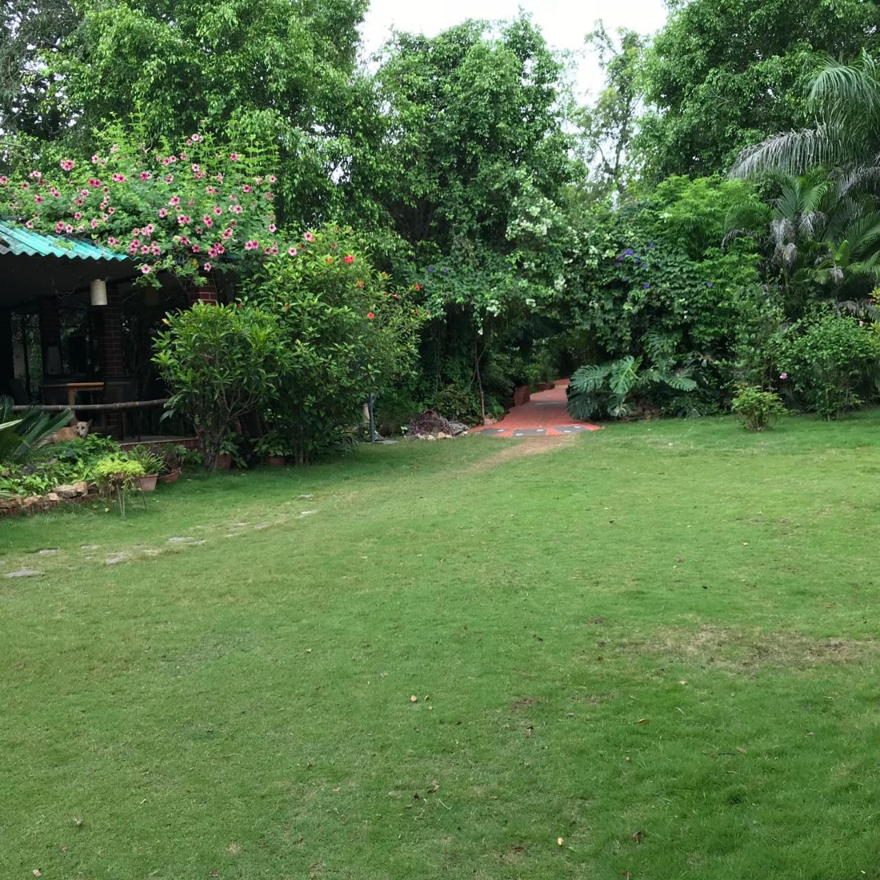 Baaz Jungle Resort Khawāsa Exteriér fotografie