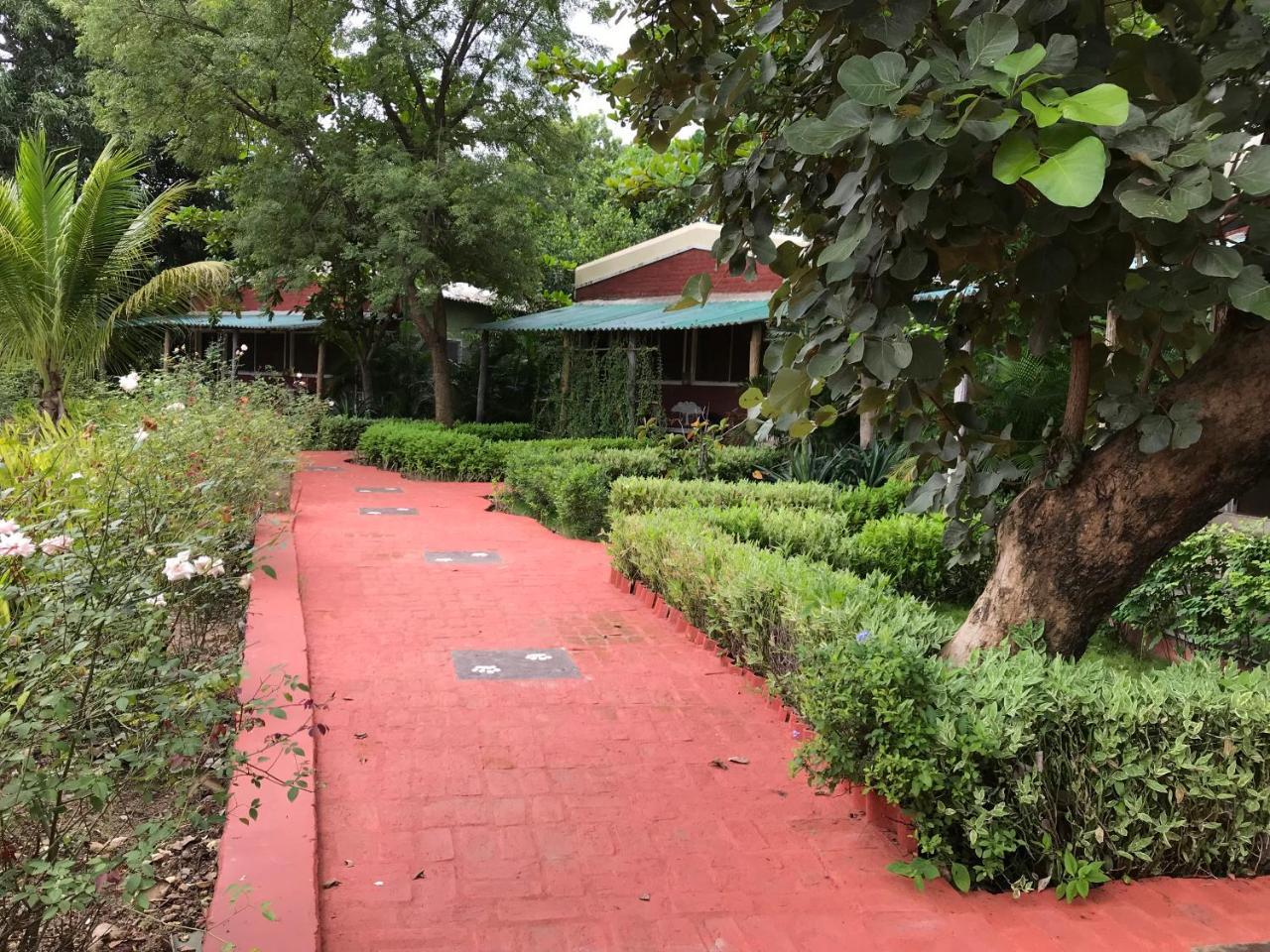 Baaz Jungle Resort Khawāsa Exteriér fotografie