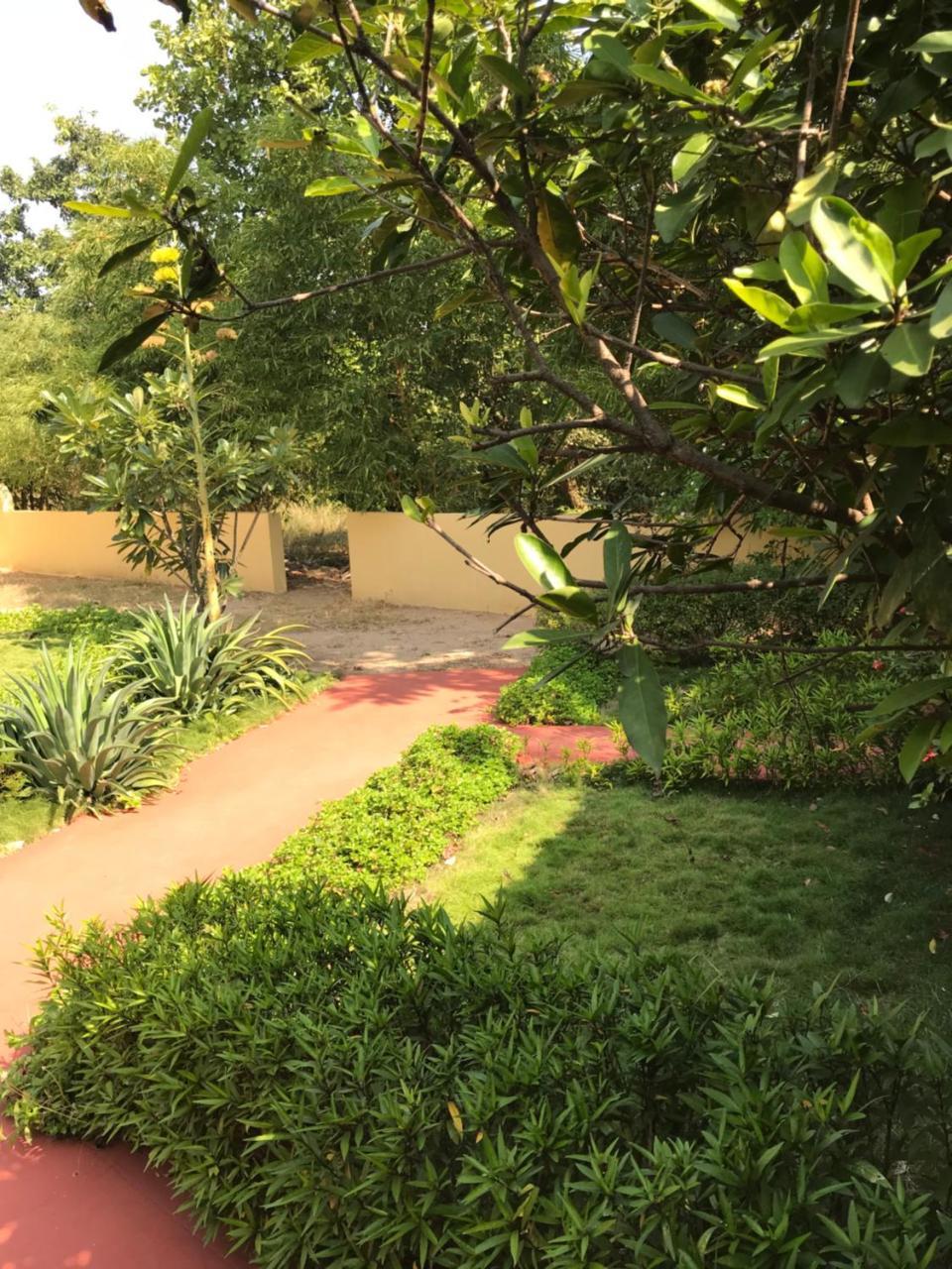 Baaz Jungle Resort Khawāsa Exteriér fotografie